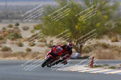 media/Apr-10-2022-SoCal Trackdays (Sun) [[f104b12566]]/Turn 5 Tree of Life (1040am)/